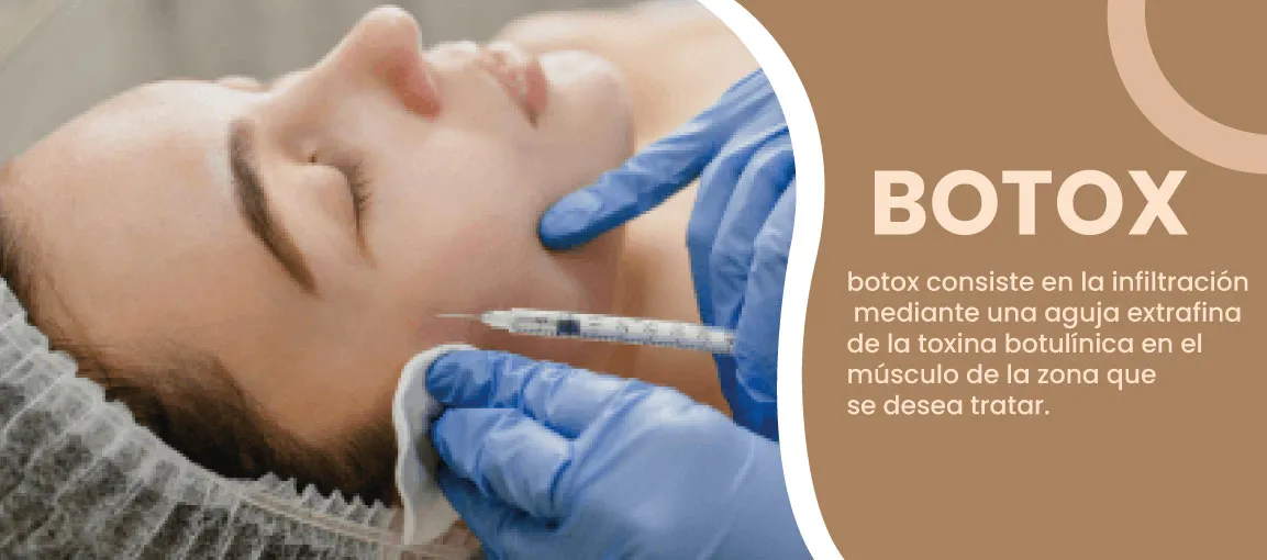 Imagen Producto